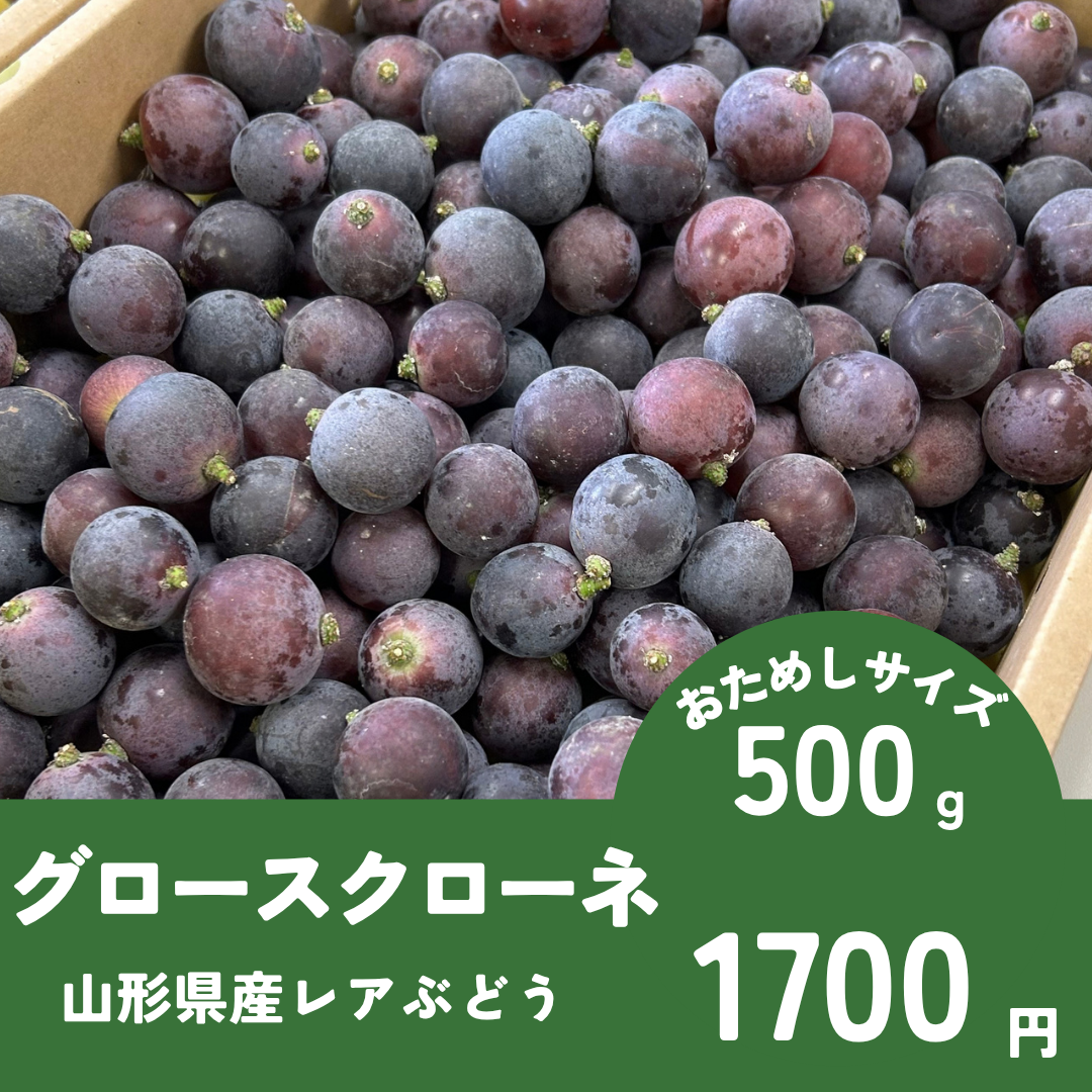送料込 お試し黒ぶどう【グロースクローネ】つぶつぶ山形県産ぶどう