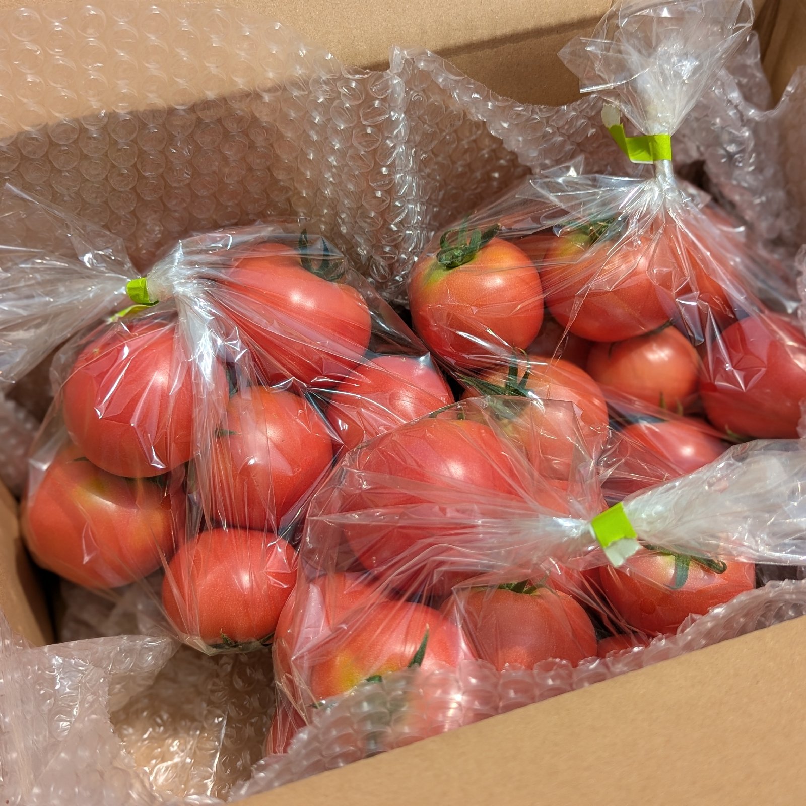 約3キロ×2箱】やさしい風の農薬不使用自然栽培大玉トマト ｜ 野菜