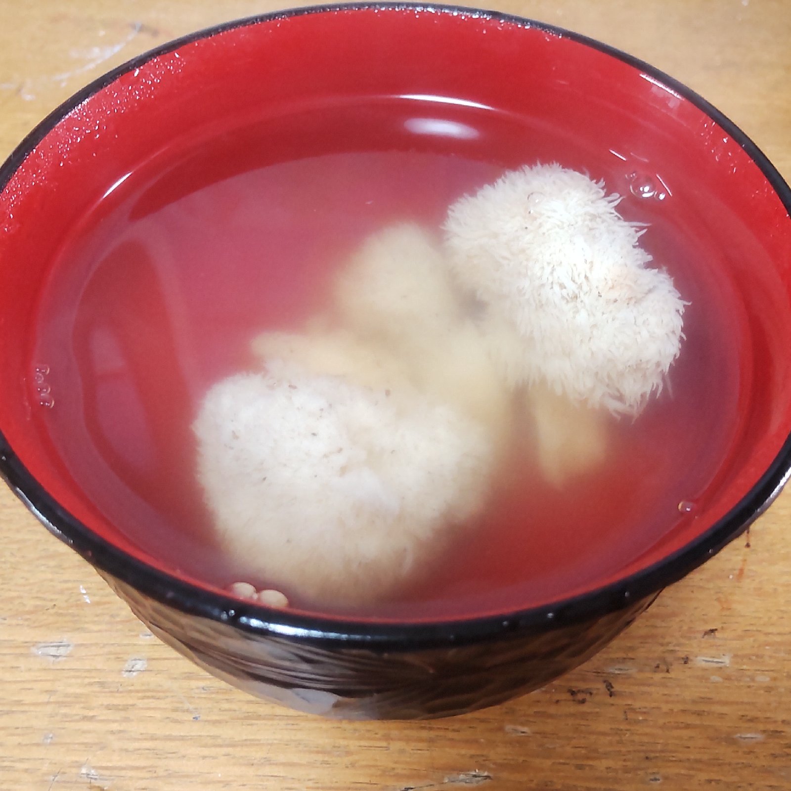 期間限定】生ヤマブシタケ(原木栽培) 1株(大人握りこぶし大) 農薬肥料