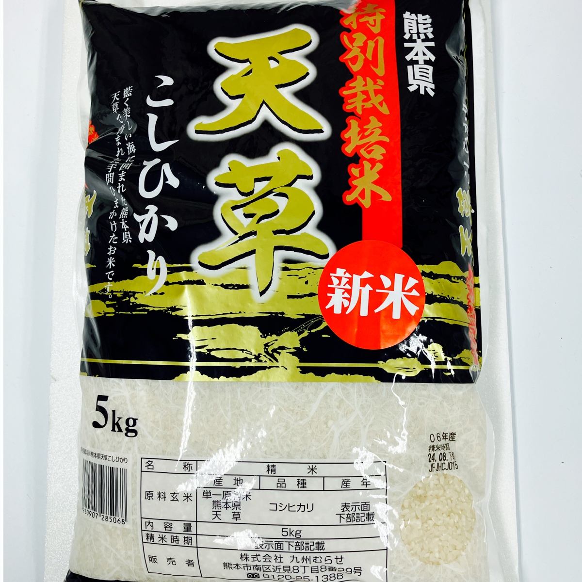 限定4個】新米 精米 熊本県 天草産 特別栽培米 こしひかり 5kg
