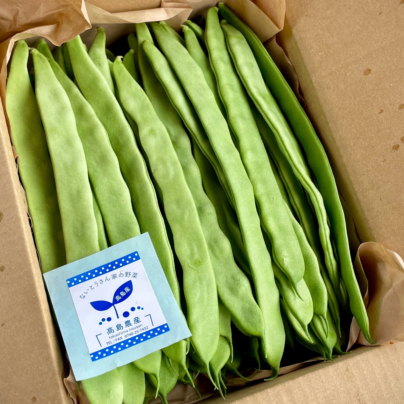 いんげん10キロ送料込み いんげん | 果菜類 | 商品情報 | イズックス株式会社