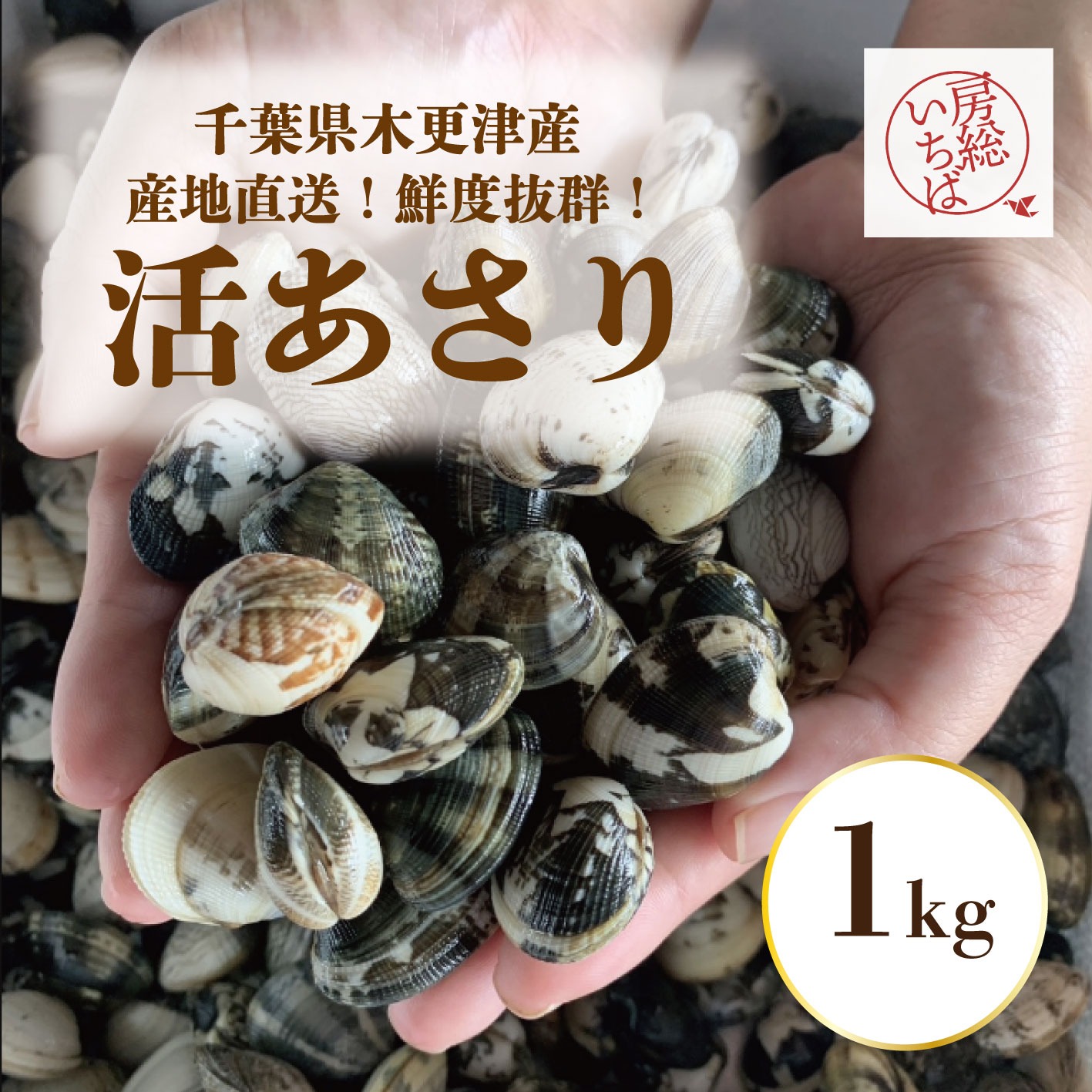 活！木更津産！砂抜き済みアサリ！1㎏！鮮度抜群！産地直送！】産直