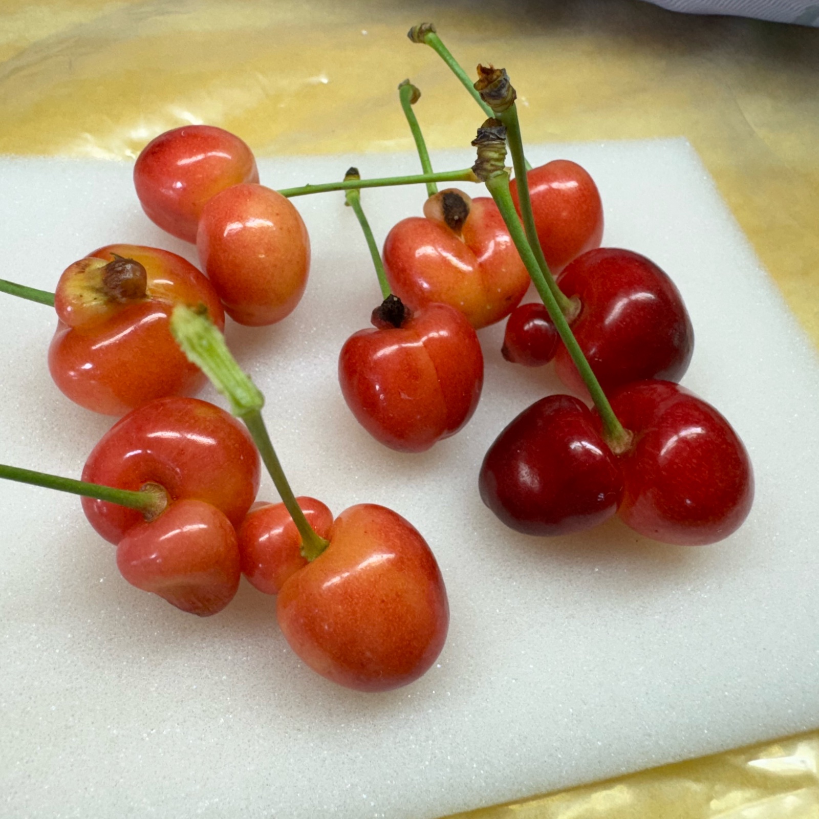 食品 訳ありさくらんぼLASTなくなり次第終了