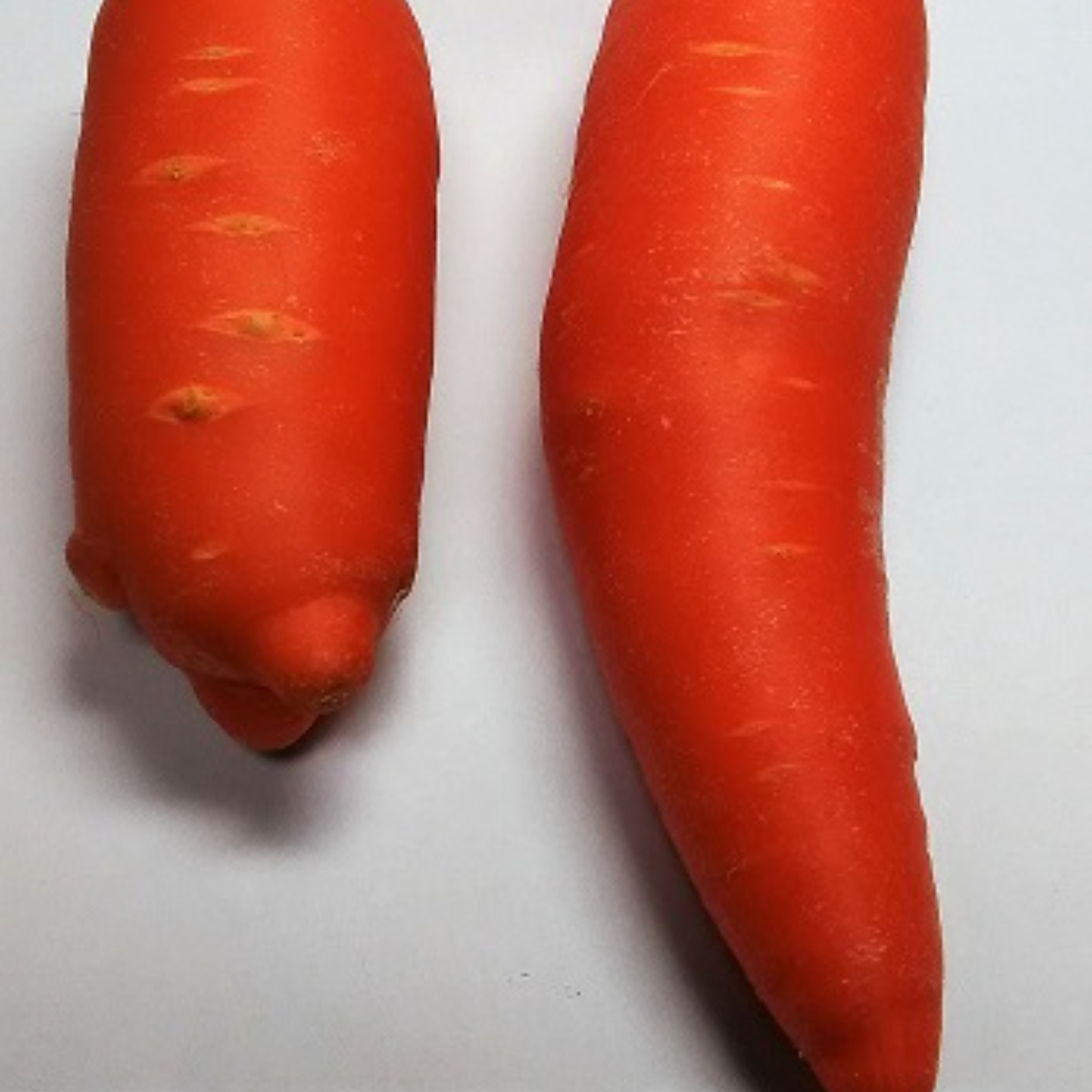 訳あり】無農薬で育った 人参 大きさ色々にんじん 14kg ｜ 野菜/人参