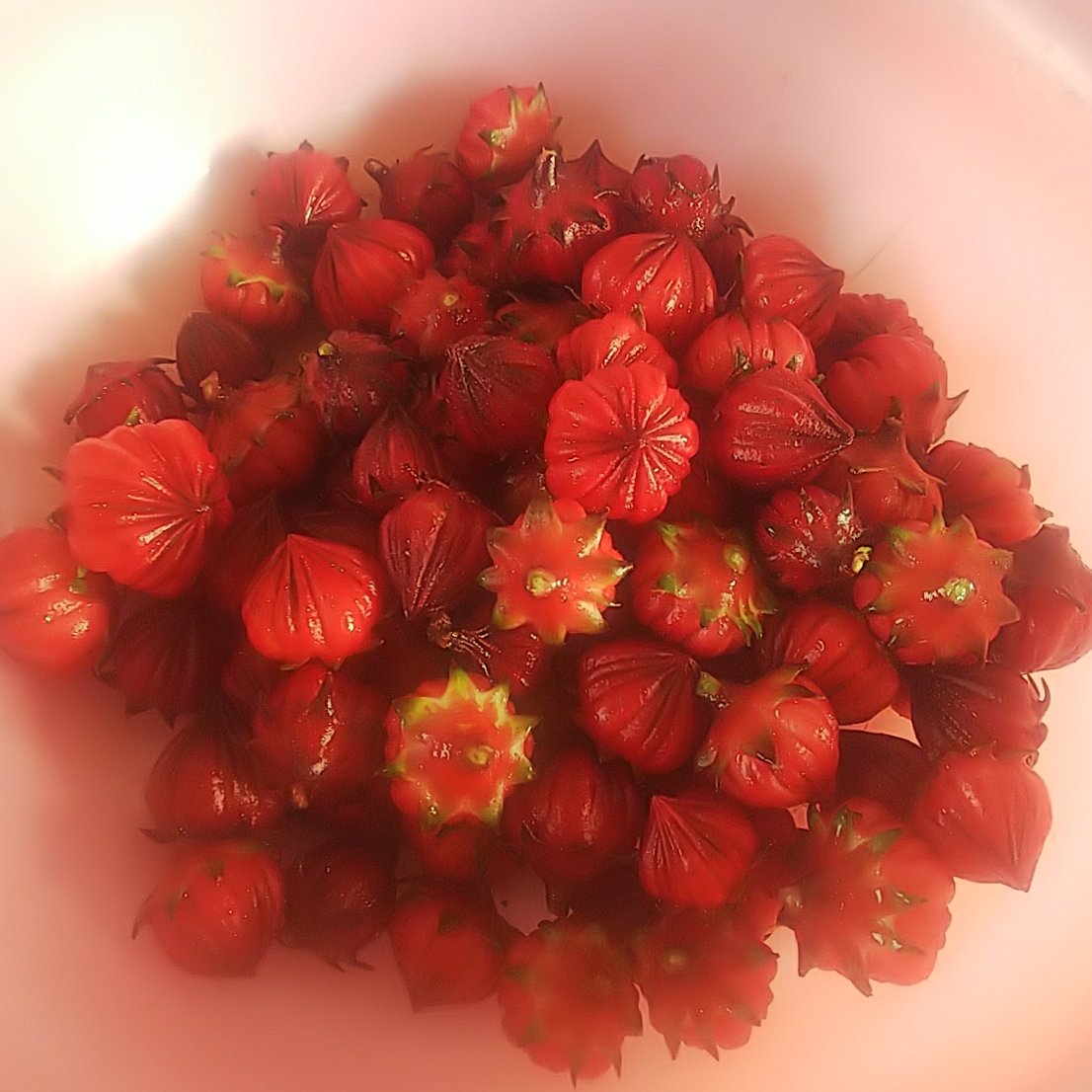 7c5a18e56b9b29e65f53fc70a02859