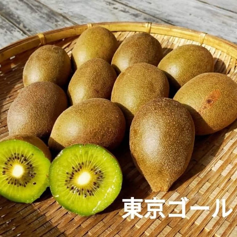 瀬戸内しまなみ産 栽培期間中農薬、化学肥料、除草剤不使用 自然栽培