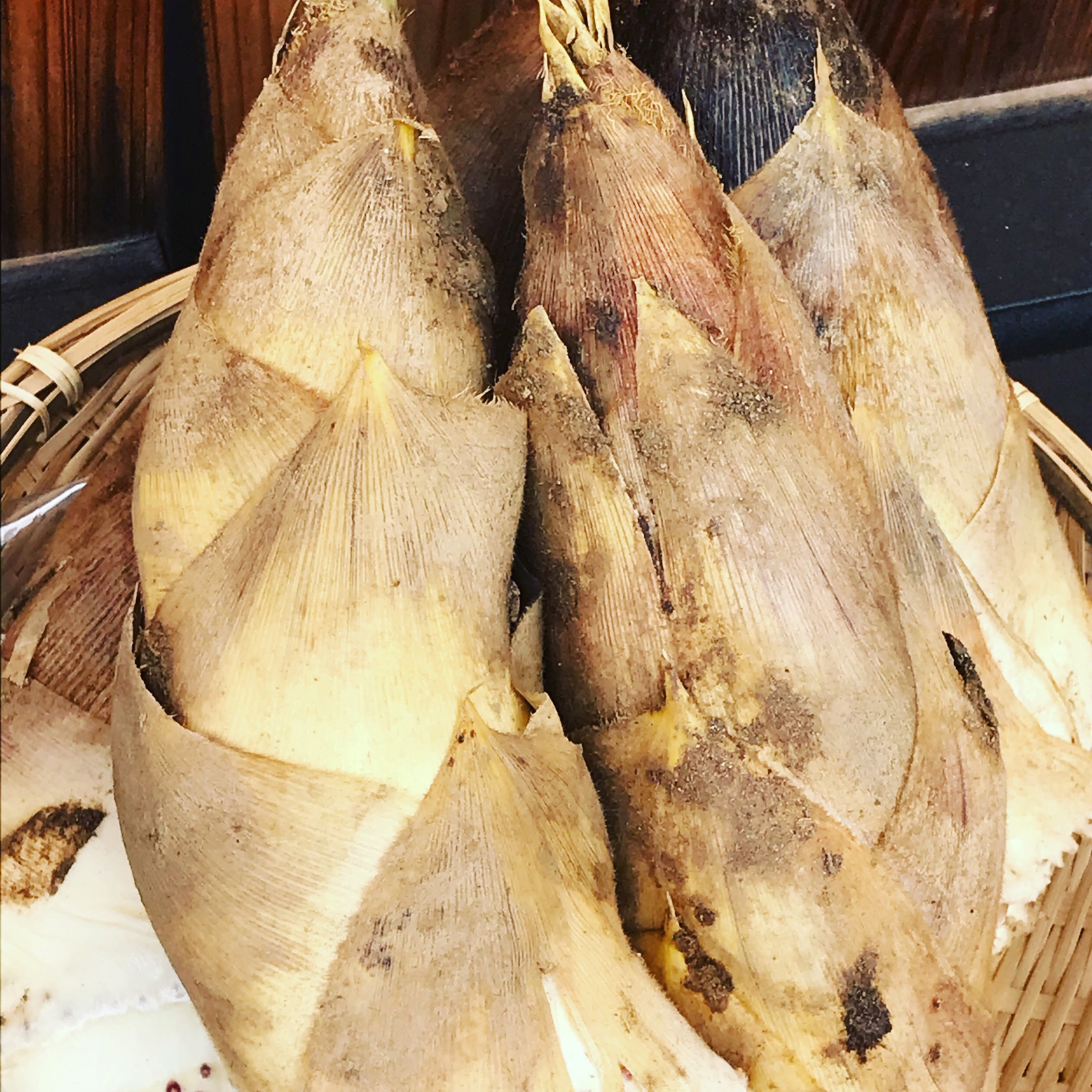 京都府木津川市山城産のたけのこ6kg | 野菜/その他野菜 産直アウル