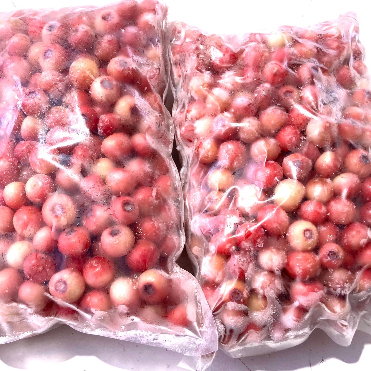 pinkroses冷凍ブルーベリー中粒3kg