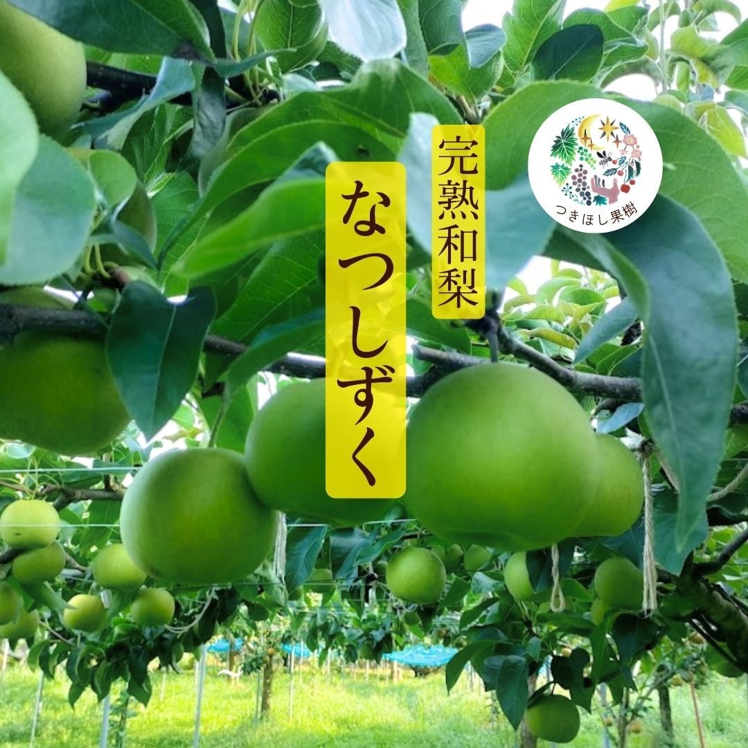 【梨】なつしずく　訳あり10キロ　規格外 和梨「なつしずく」3㎏ ｜ 果物/梨 産直アウル 農家・漁師など生産者
