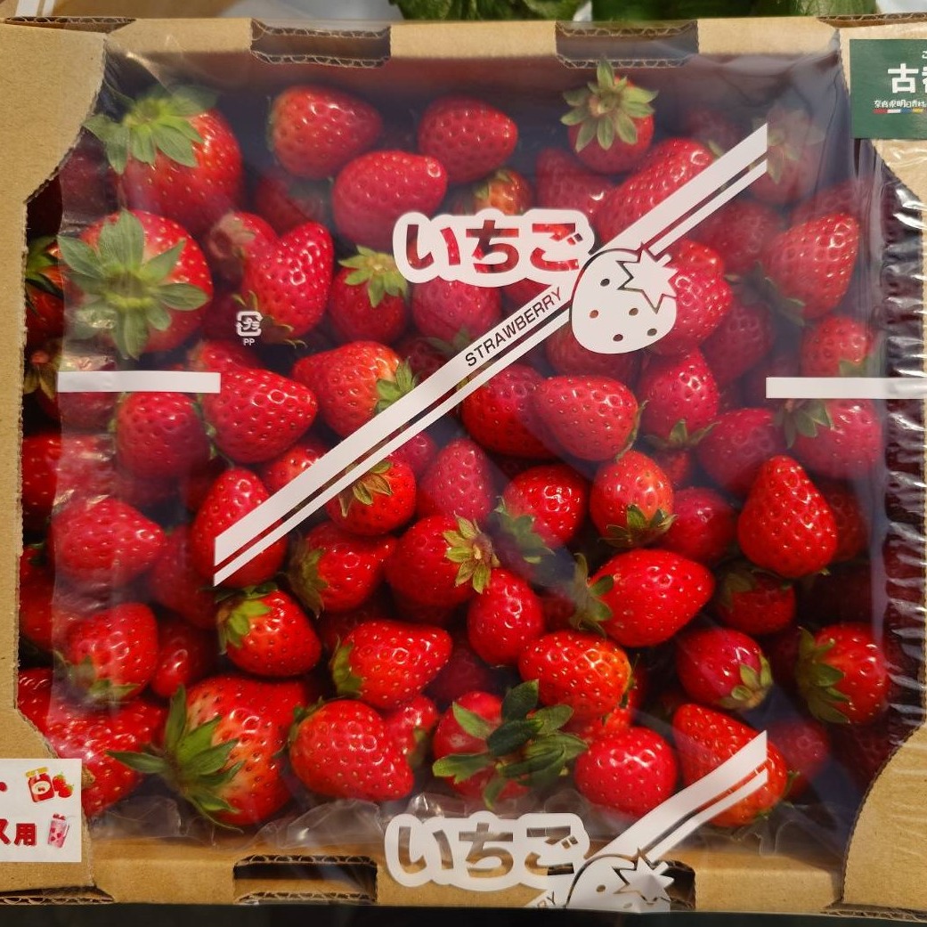 朝採り新鮮いちご「古都華」ジュース用1100g ｜ 果物/いちご 産直
