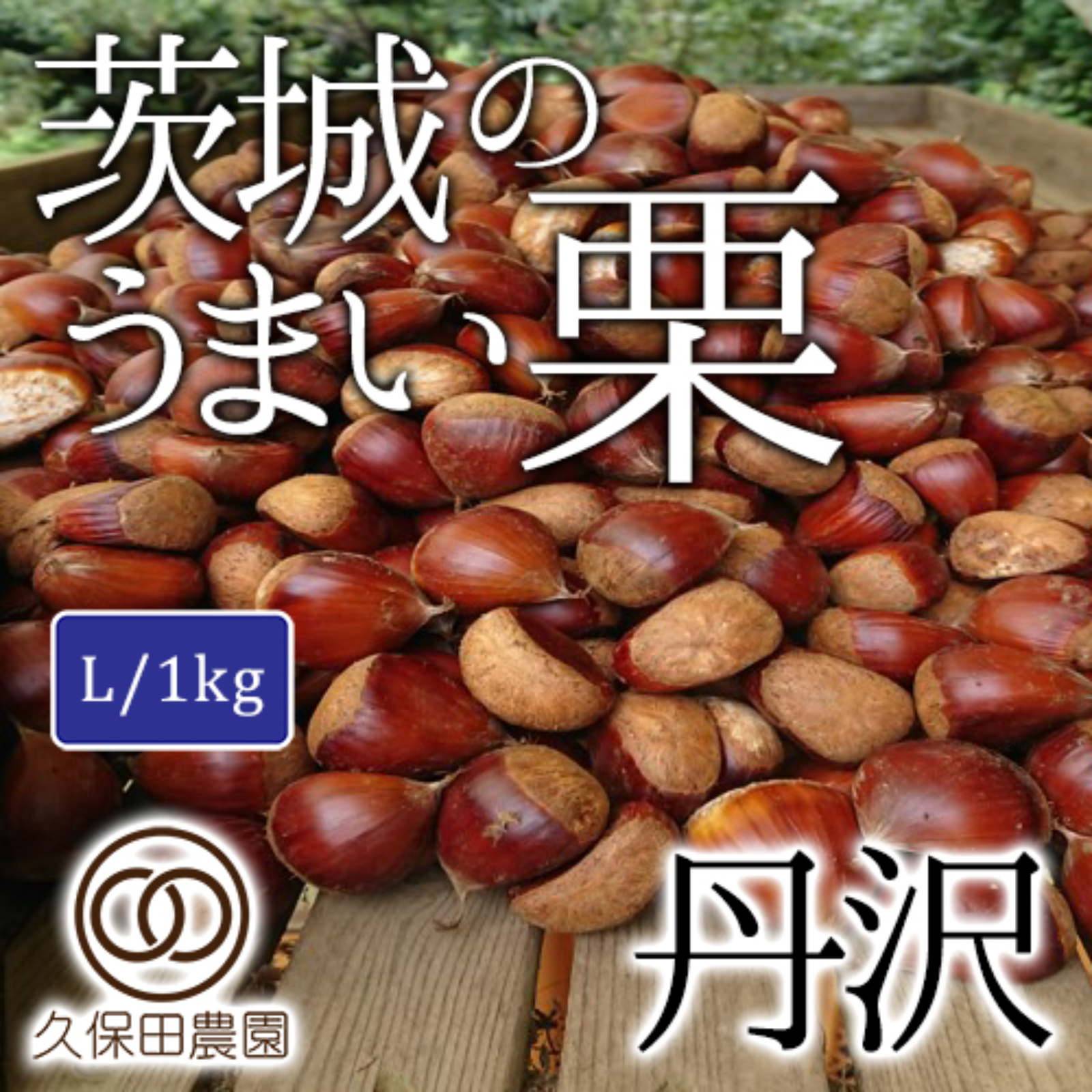 特大4L 茨城県笠間産 岩間の栗 3キロ