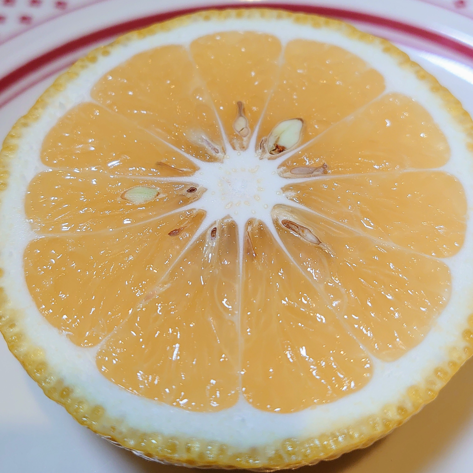 まろやかな甘さに柔らかい果肉 無農薬無化学肥料はるか | 果物