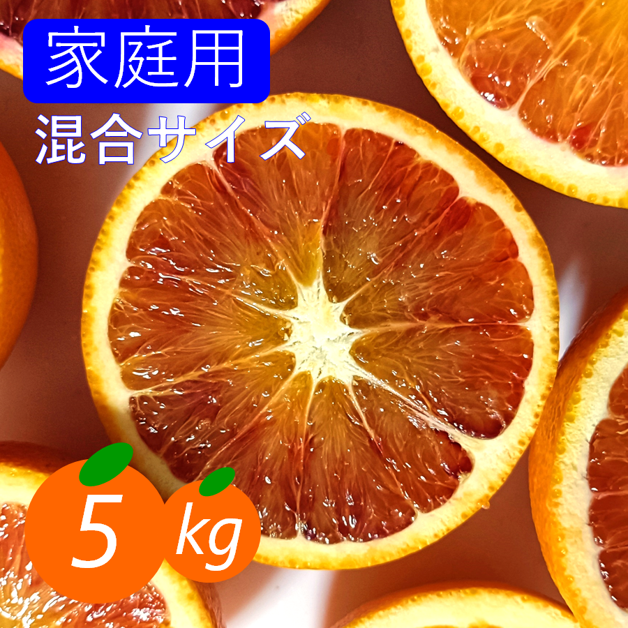 家庭用】ブラッドオレンジ 5kg 鮮やかな赤い果肉 希少柑橘 ｜ 果物