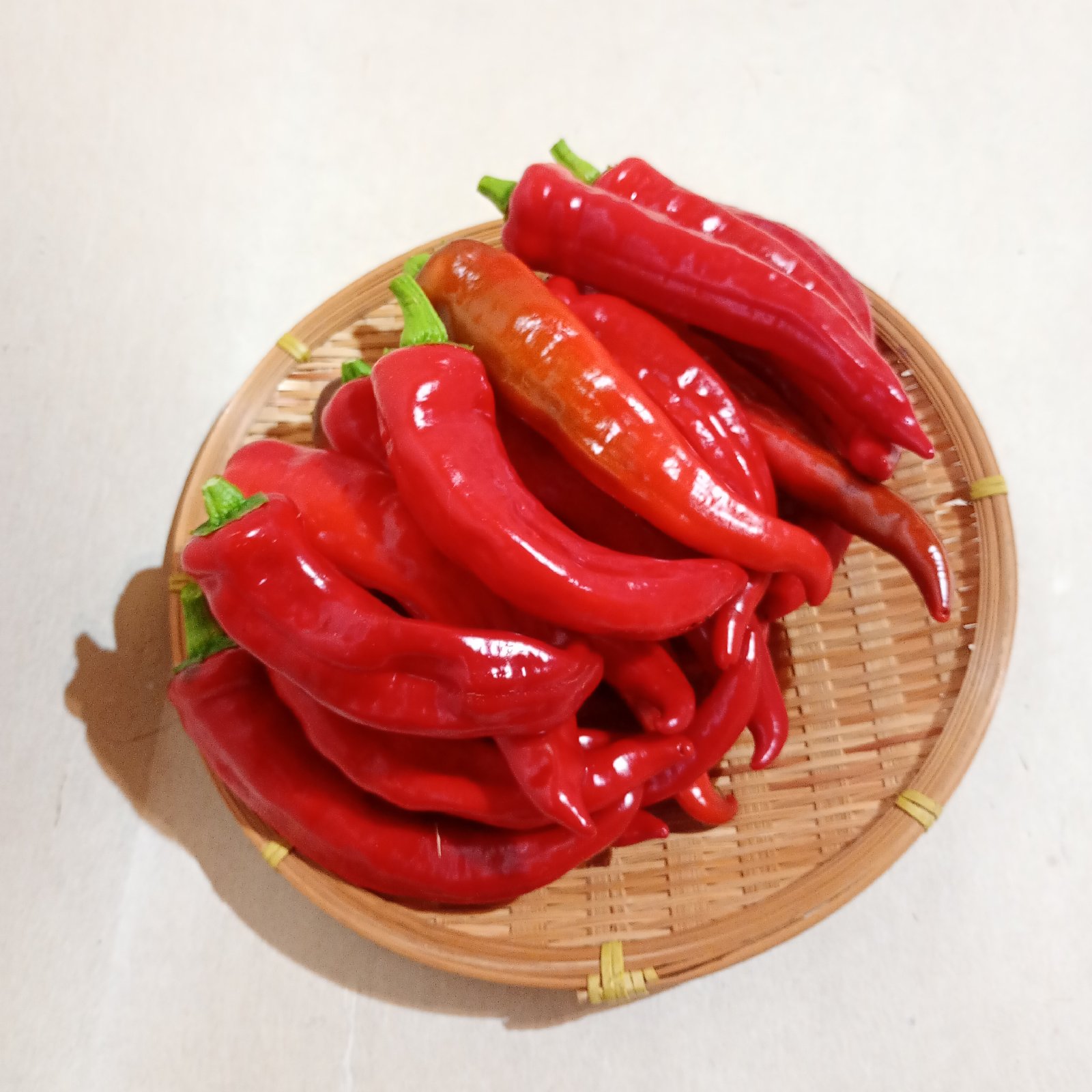有機栽培 万願寺とうがらし 赤 500g ｜ 野菜/ししとう 産直アウル 農家 