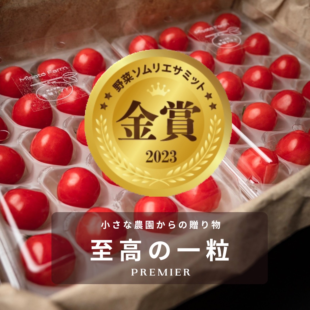 ⭐︎金賞受賞⭐︎ミサトファームの美健トマト®︎「プチぷよ」1箱40粒