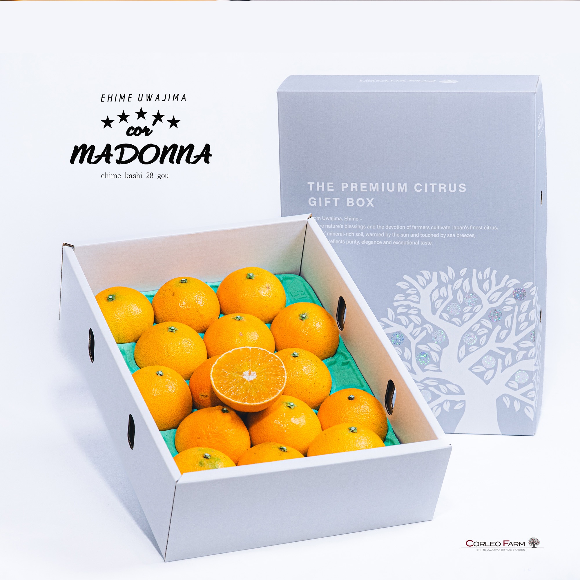 □GIFT□〈コル'マドンナ〉プルップルのゼリー食感【EHIME UWAJIMA