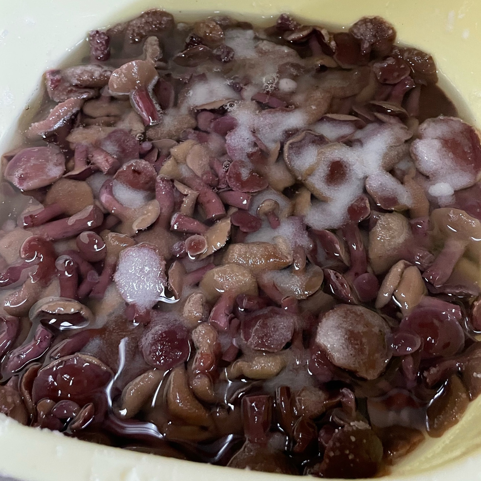 7e4bea8260fdc974c10274b09a6687