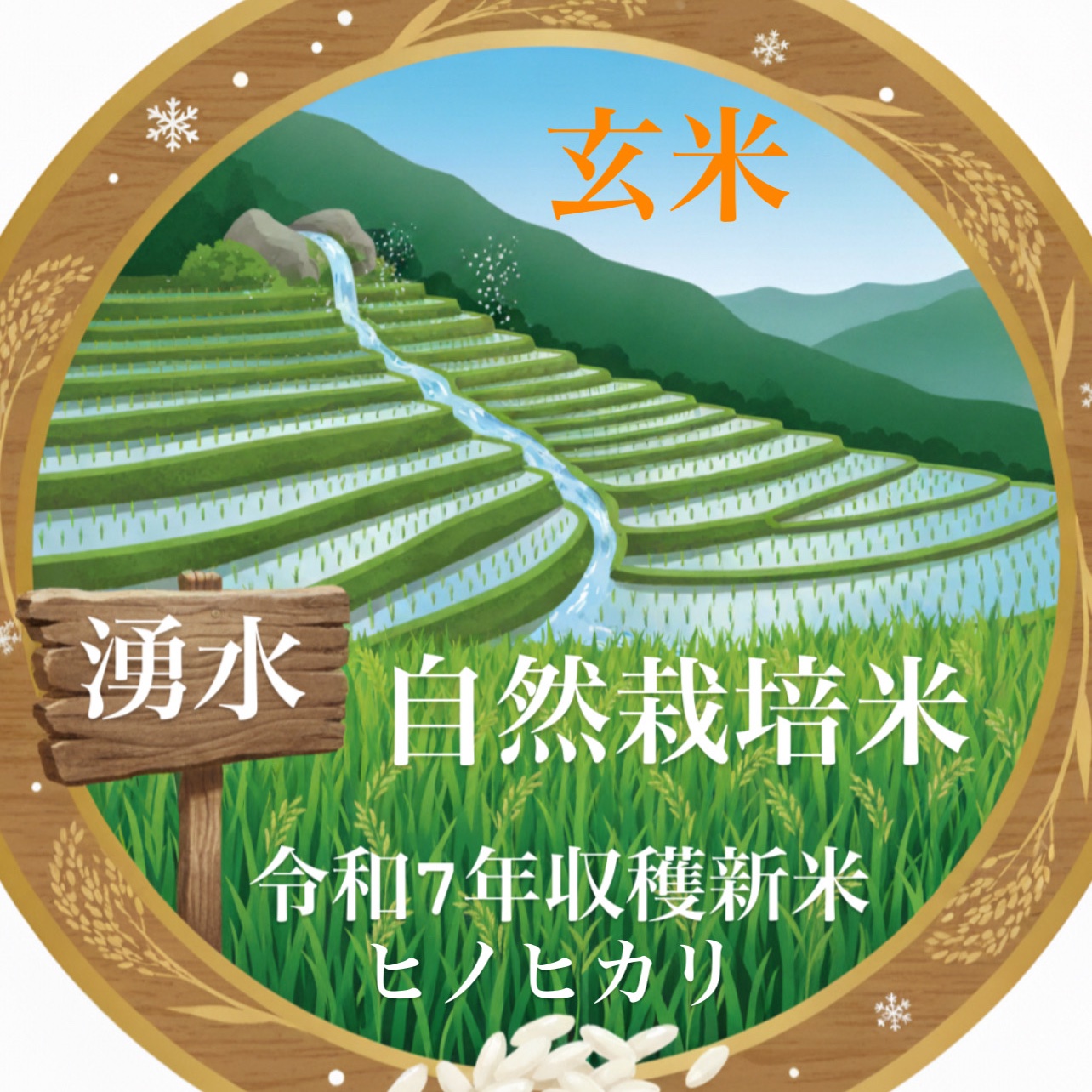 120年以上続く棚田の湧水自然栽培米（ミネラル豊富） | 米・穀物/玄米