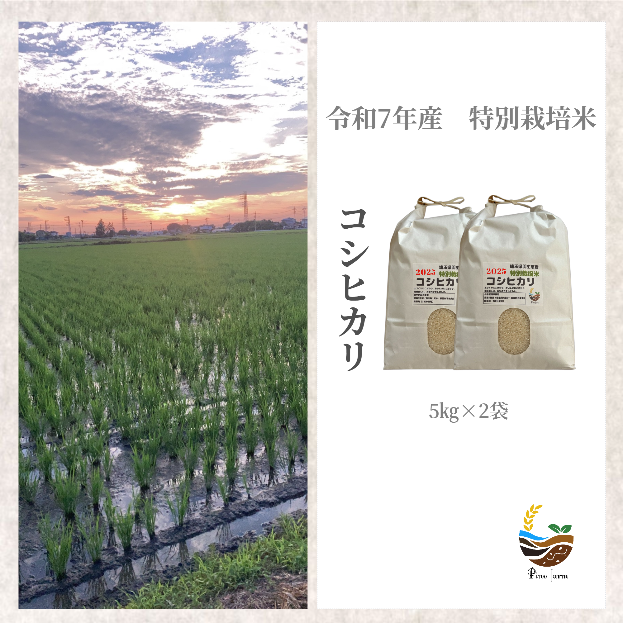 R7年産特別栽培米 コシヒカリ10kg ｜ 米・穀物/米/精米 産直アウル 