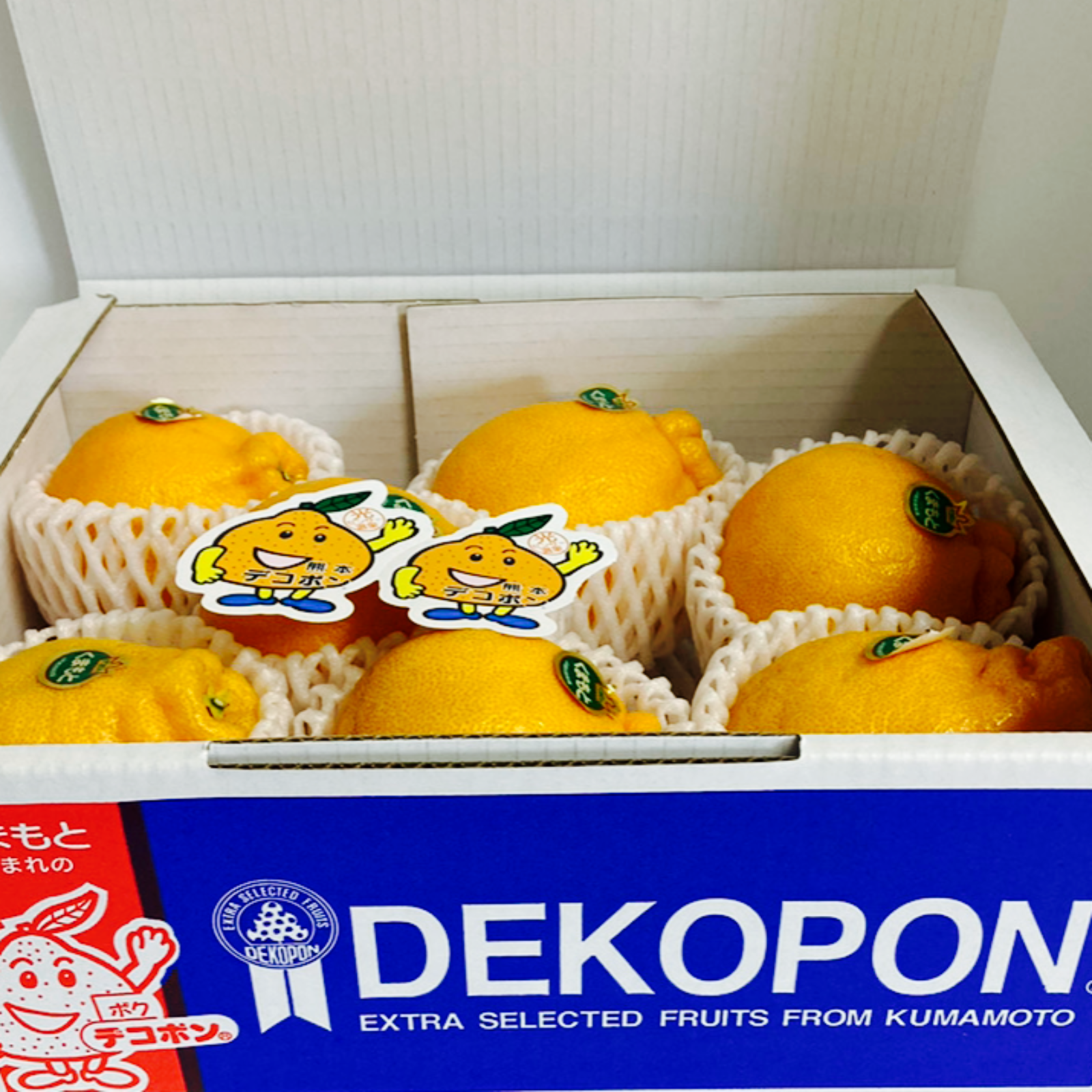 熊本県産 秀品 JAデコポン専用箱あり 合計約4㎏ 約2㎏×2箱 DEKOPON