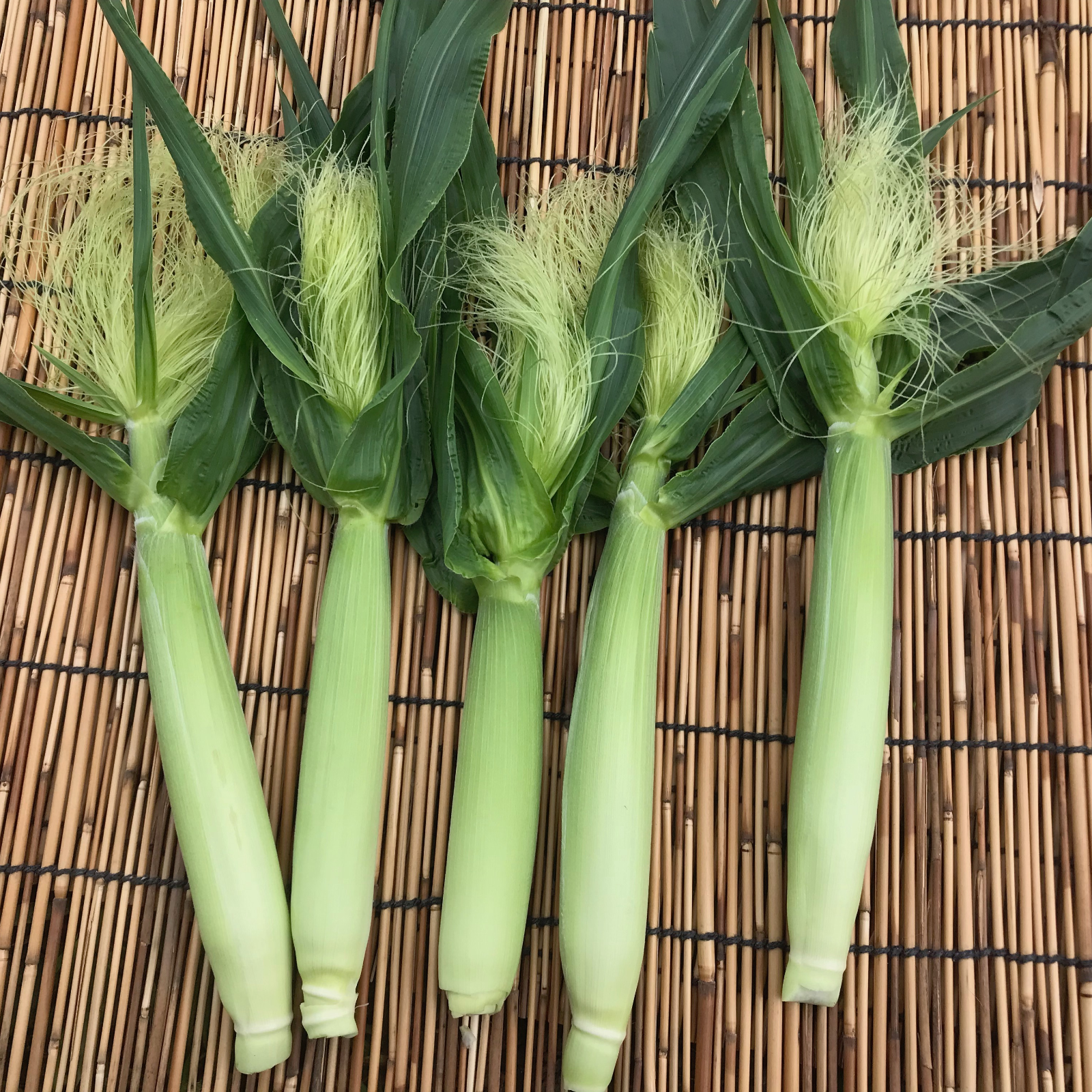 ヒゲまで美味しいヤングコーン 1kg ｜ 野菜/とうもろこし 産直アウル 
