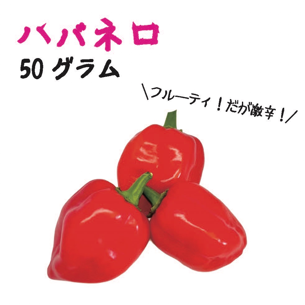 ハバネロ 約50g 宮崎産 完熟 フレッシュ 激辛 収穫後農園から直送