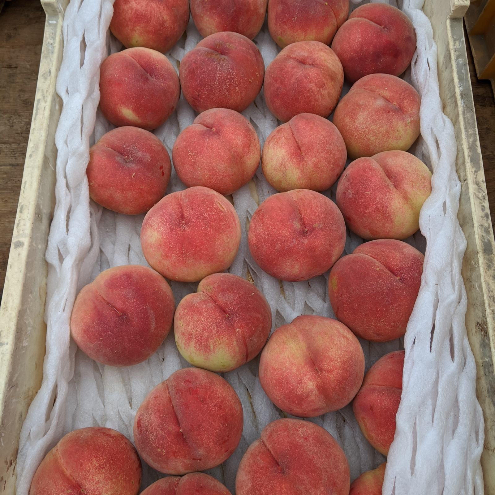 贈答用桃1.5kg箱【数量限定】朝どり直送便 | 果物/もも 産直アウル