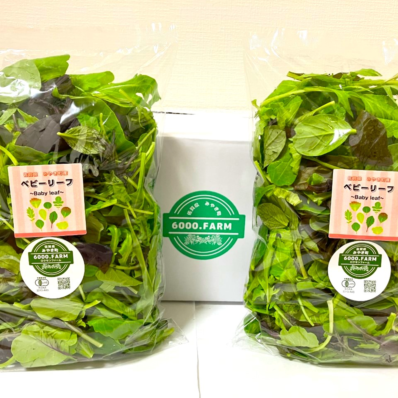 ベビーリーフの産地直送食材一覧（通販・お取り寄せ）-産直アウル