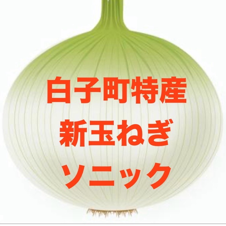 白子町産 新玉ねぎ（ソニック） | 野菜/玉ねぎ 産直アウル 農家から