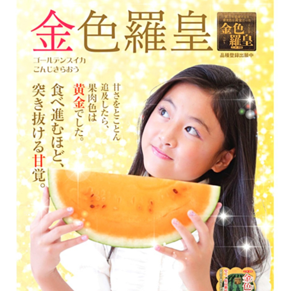 旬祭限定】《予約》尾花沢大玉スイカ 金色羅王 L 1玉 6~7kg 糖度17度