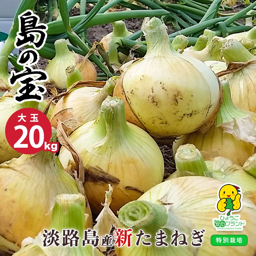 ひとり　B品大玉20キロ 2件目 毛玉取り器 KC-NR525【マクセルイズミ株式会社】