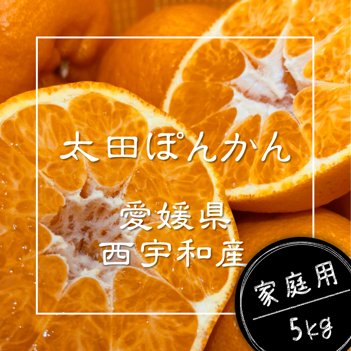 プチプチ食感♪＆種なし】太田ぽんかん《ご家庭用 5kg》｜サイズ混合