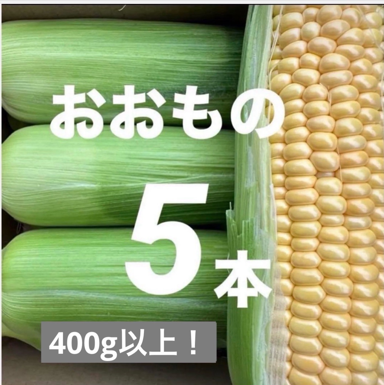 ⑥(訳あり)信州産 とうもろこし おおもの【24～25本】 おおものの産地直送食材一覧（通販・お取り寄せ）-産直アウル