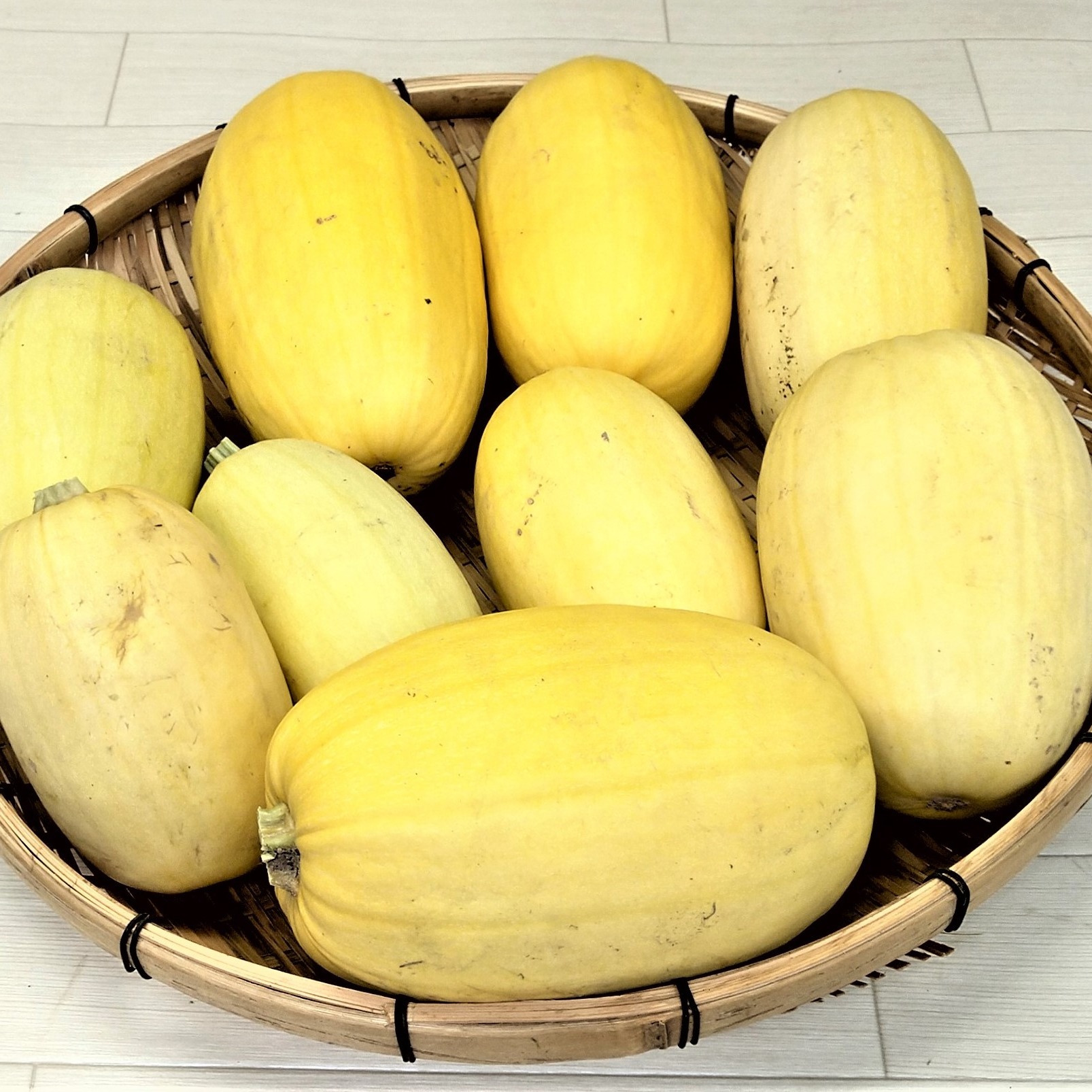 そうめん瓜（金糸瓜）栽培期間中農薬不使用 ｜ 野菜/かぼちゃ 産直 