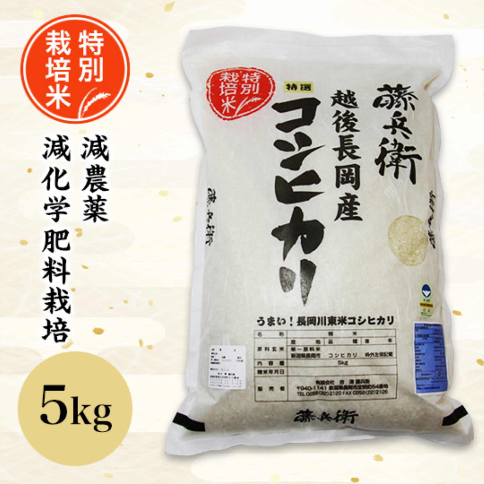 コシヒカリ 10キロ 精米 一等米