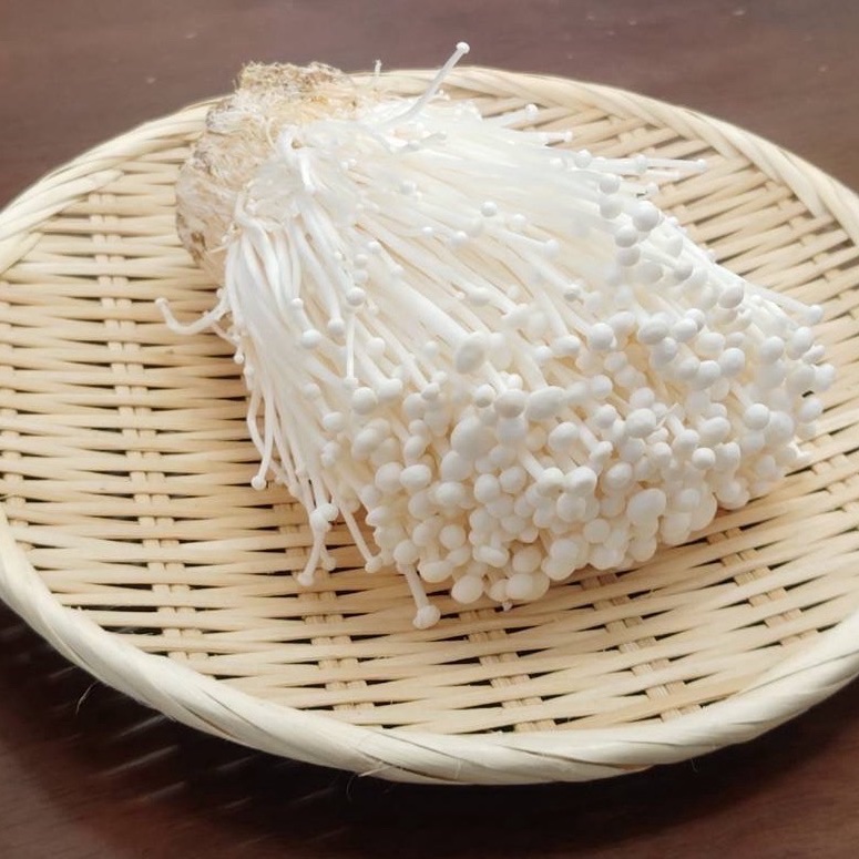 えのき様確認専用ページ❷ 80658f356c6c13e60ea6a49e86f2f3