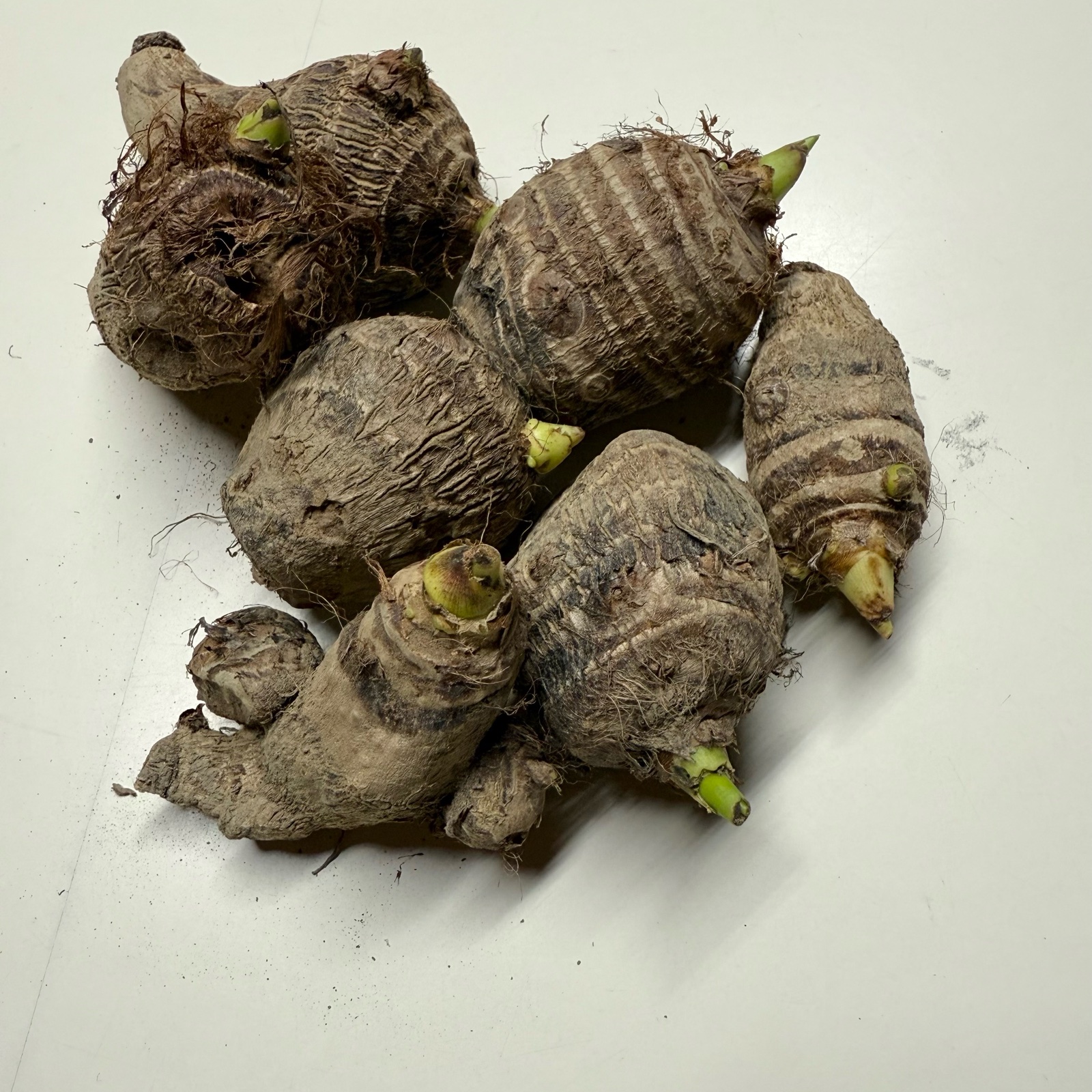 【農薬・化学肥料不使用】里芋 10kg 806655471806549409af01464f0d14
