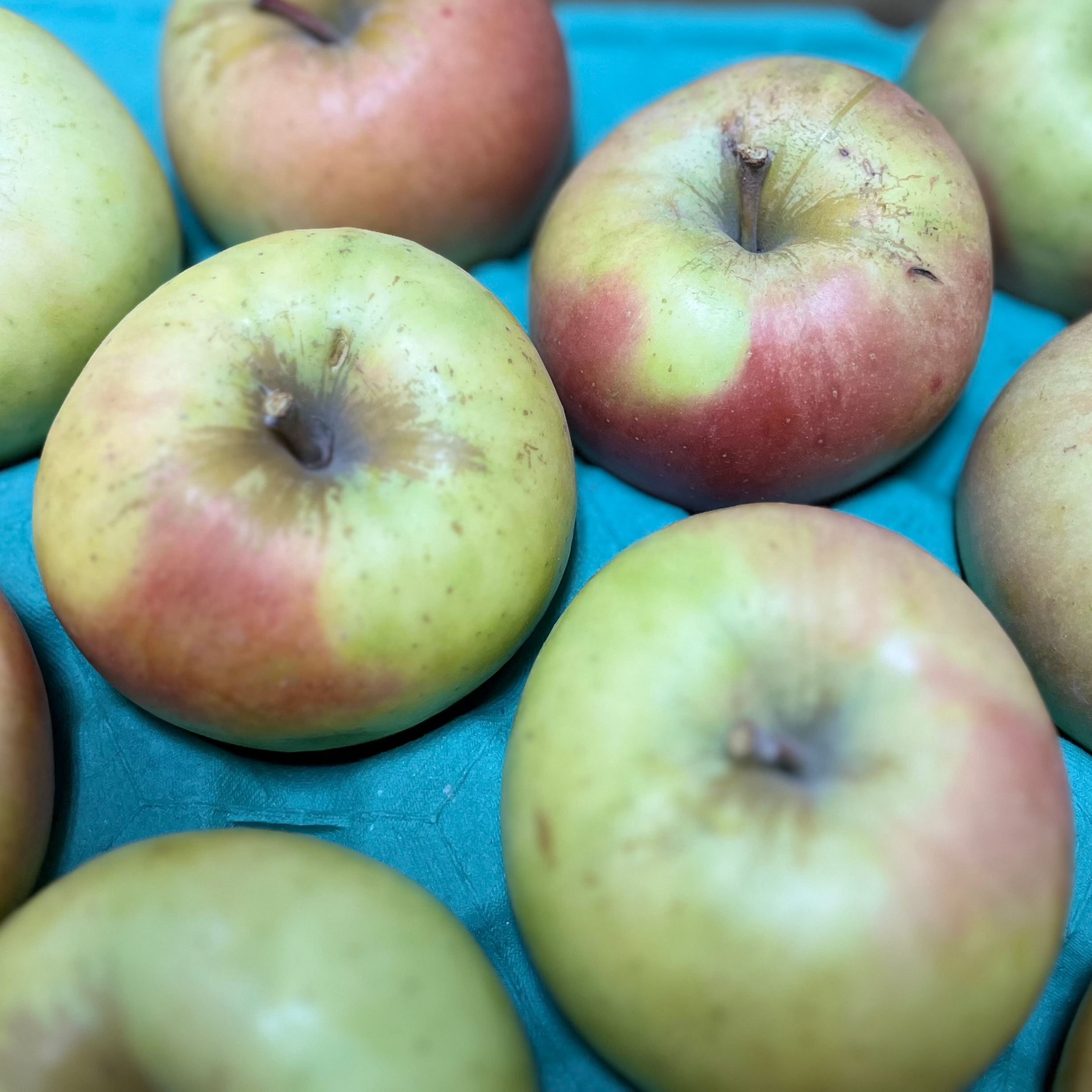 青森県産りんご「ぐんま名月」家庭用 キズ有 約5kg【光センサー選果 高