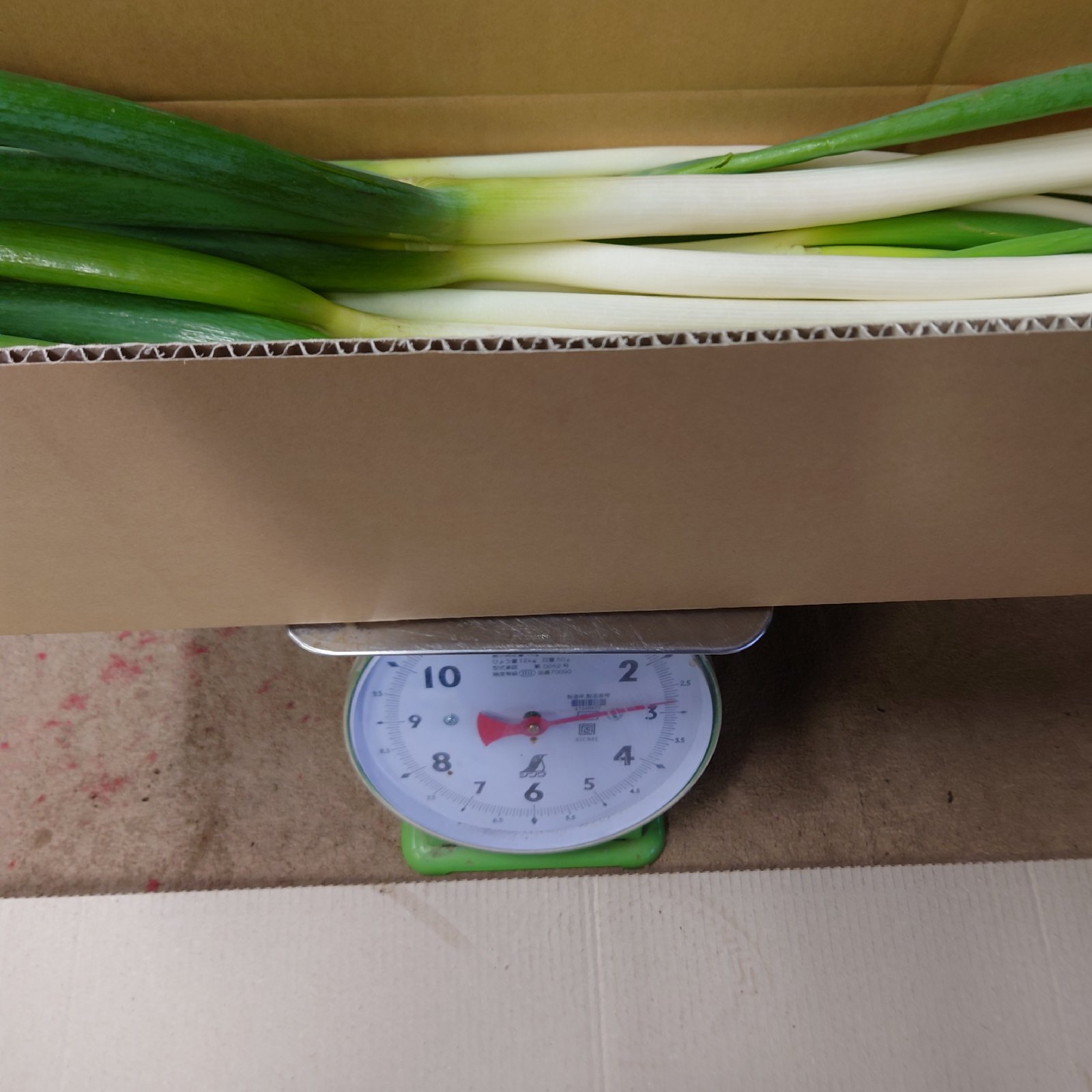ひろちゃん野菜の長ネギ ｜ 野菜/ねぎ 産直アウル 農家・漁師など生産