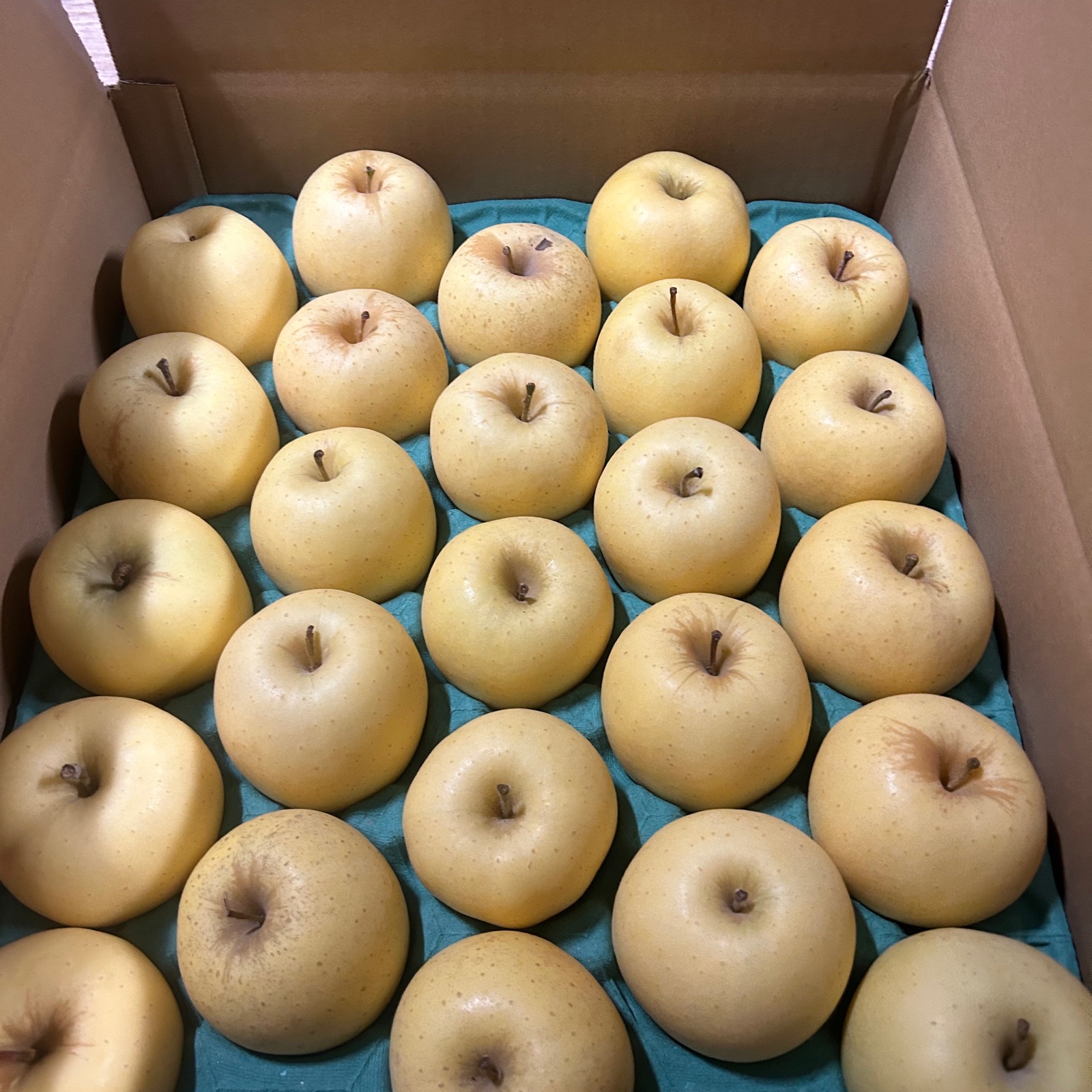 MSサイズ小玉 はるかご家庭用約5キロ | 果物/りんご 産直アウル 農家