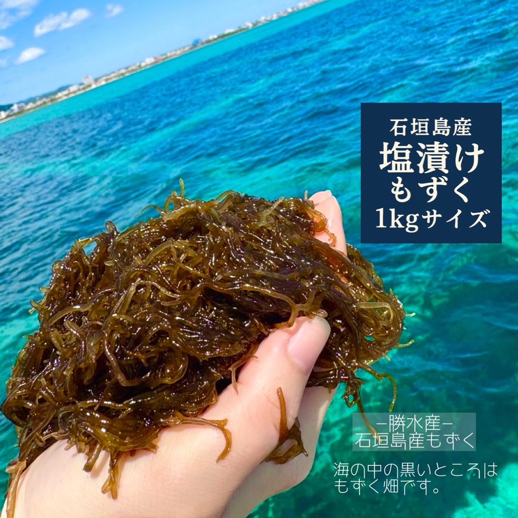 石垣島産塩漬けもずく 沖縄県石垣島産塩漬けもずく1kg×3大サイズ | 魚介類/海藻 産直