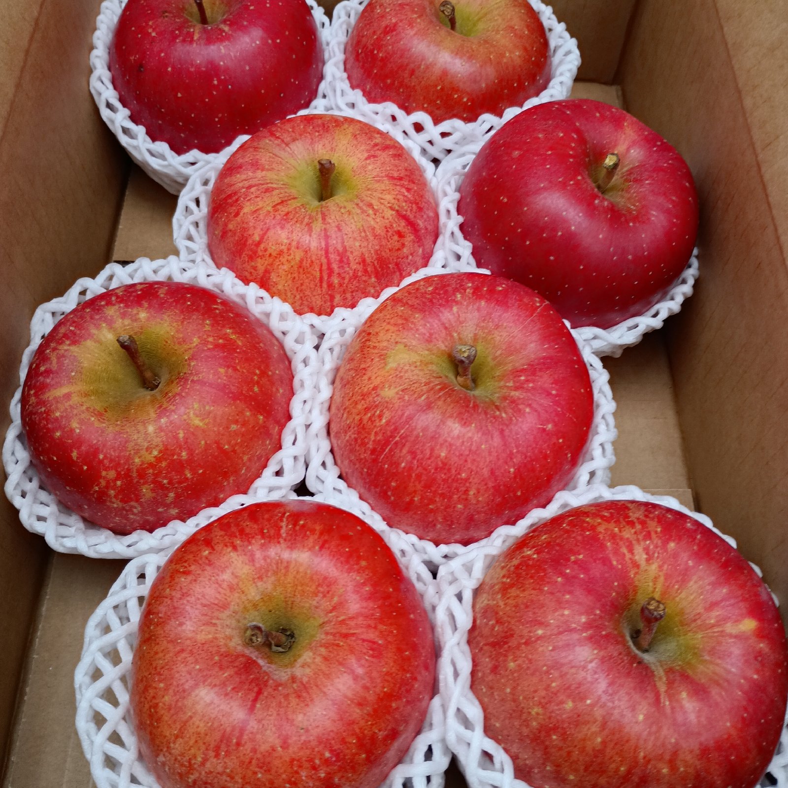 初雪サンふじ 秋田県横手市から産直直送！約3キロ1個約400～450gの極大