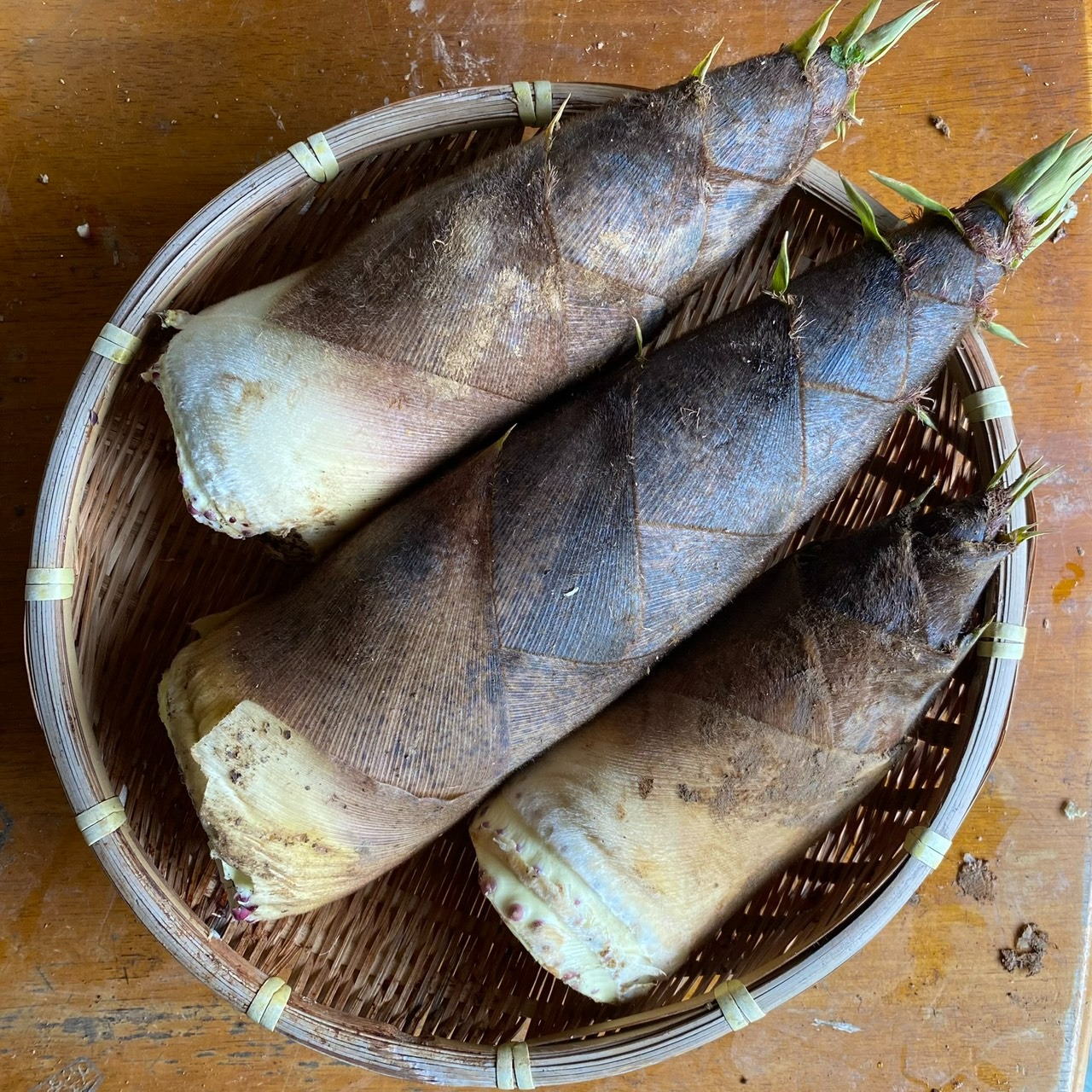 Aki　筍3キロ 送料500円引]筍 たけのこ3kg 糠と唐辛子・木の芽付 ｜ 野菜/たけのこ
