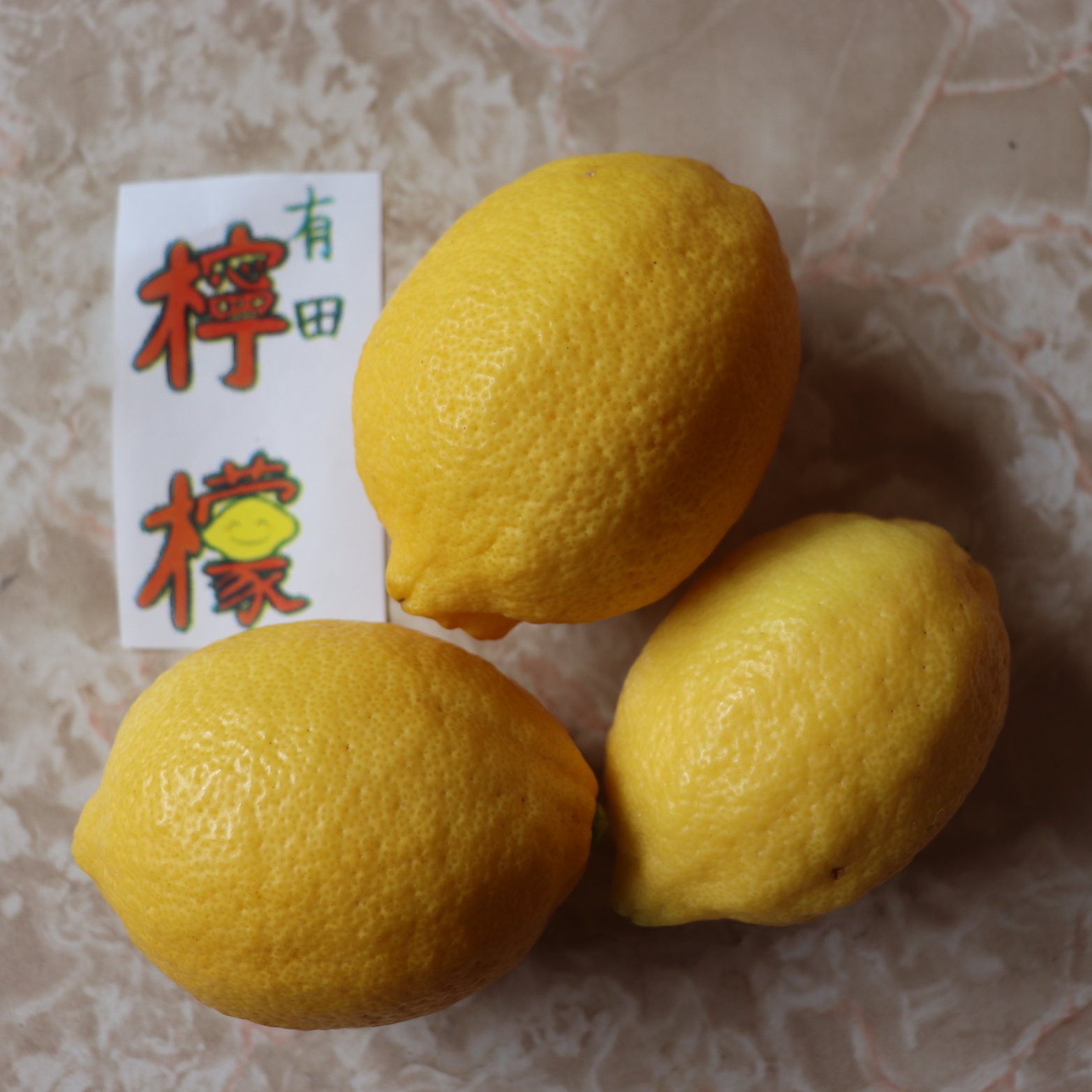 nommi 果物シリーズ アボカド オレンジ ブルーベリー 3点セット まとめ