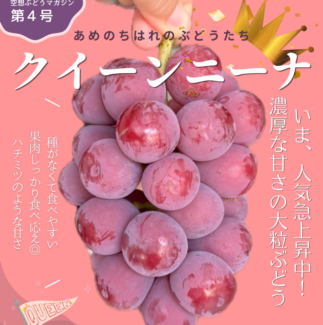 朝どれ採れたて新鮮】クイーンニーナ2房 ｜ 果物/ぶどう 産直アウル