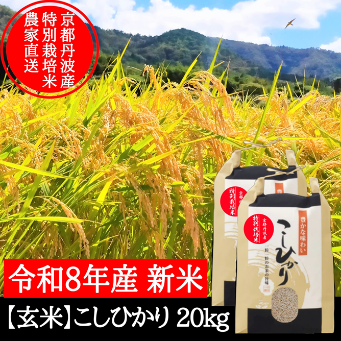 新米【玄米】特別栽培米こしひかり 20kg 京都府産 令和8年産 ｜ 米