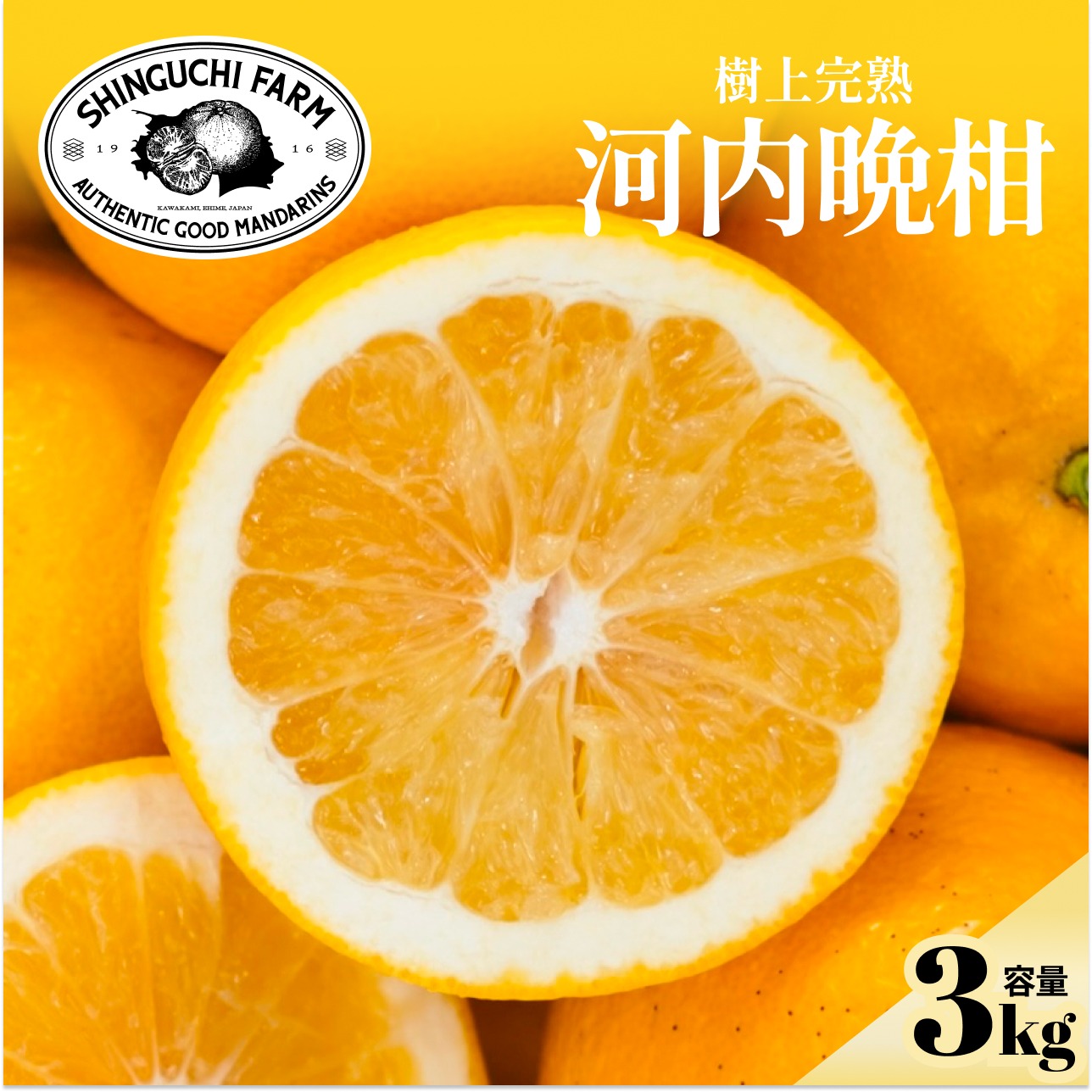 訳あり】河内晩柑 3kg ほのかな甘みに爽やかな酸味 ｜ 果物/オレンジ