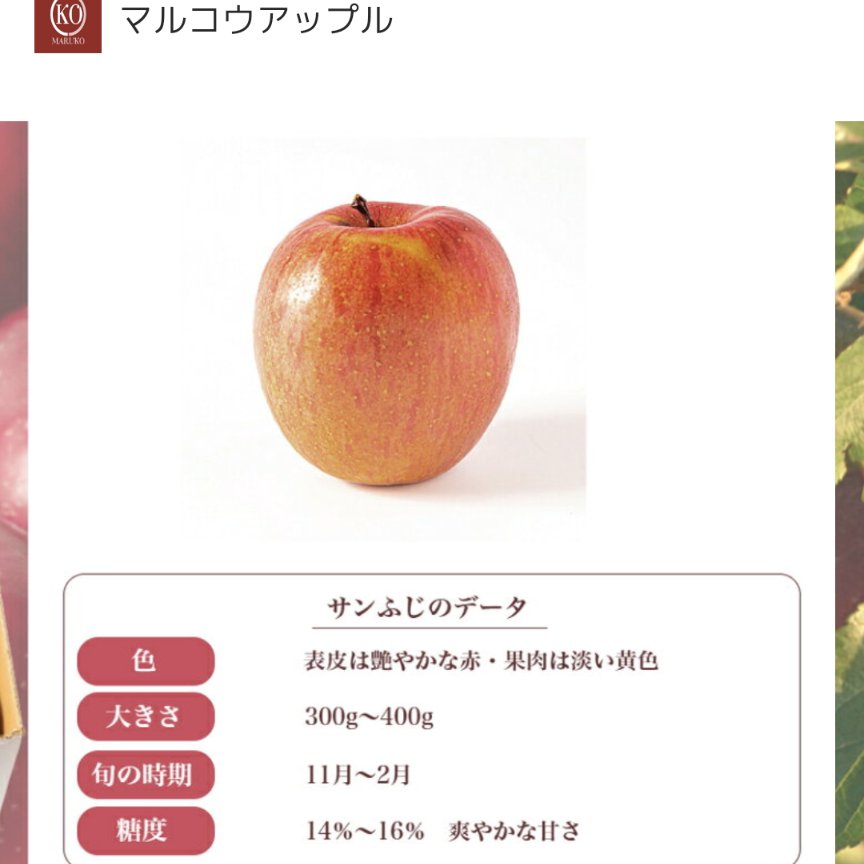 贈答用10kg】濃厚サンふじ | 果物/りんご 産直アウル 農家から直接野菜