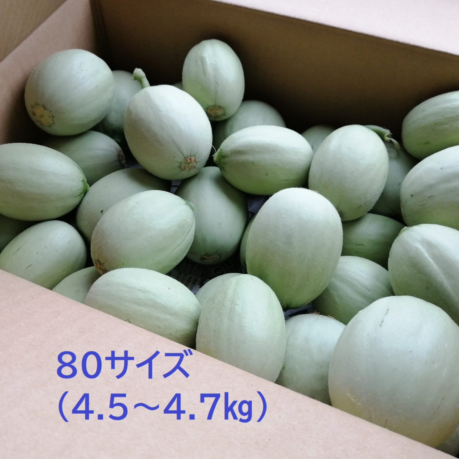 約4.5kg/80サイズ 子メロン 摘果メロン 浅漬けや粕漬けに いい食感