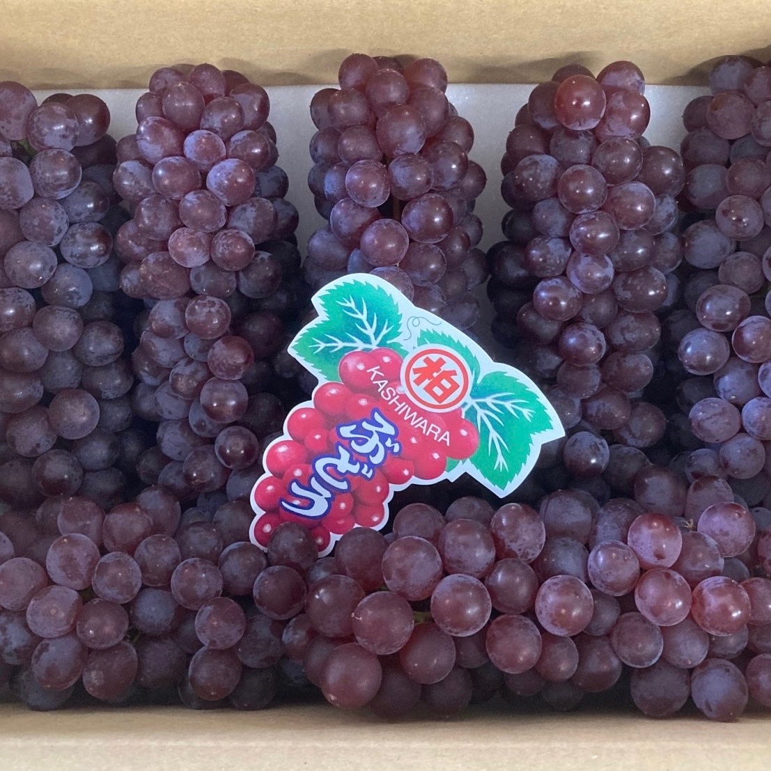 83c9cb5431fadc5422463dda39a243